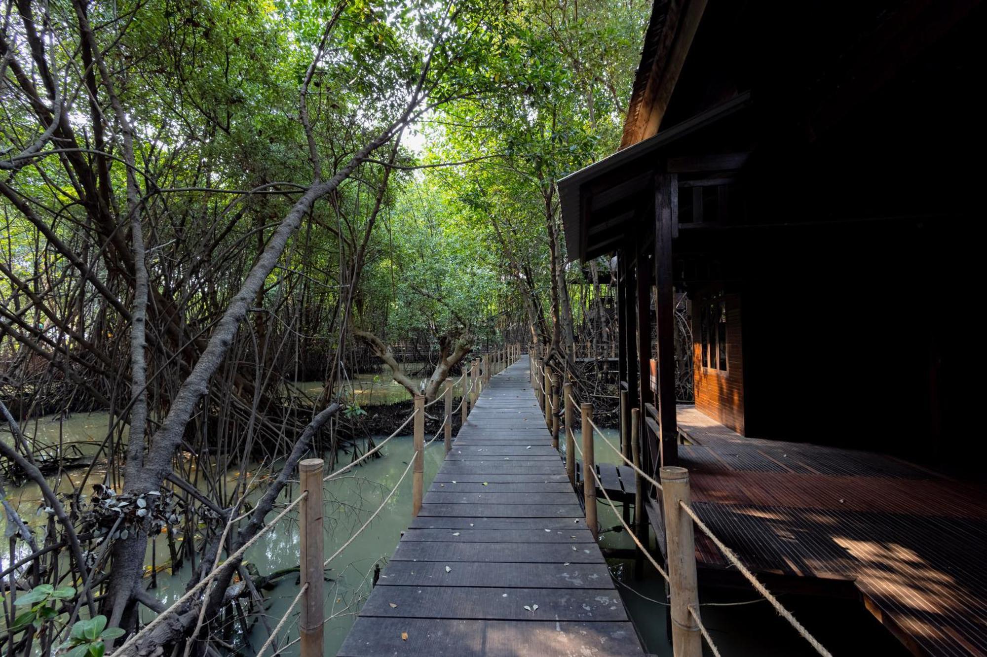 Maison d'hôtes Reddoorz @ Taman Wisata Mangrove Jakarta