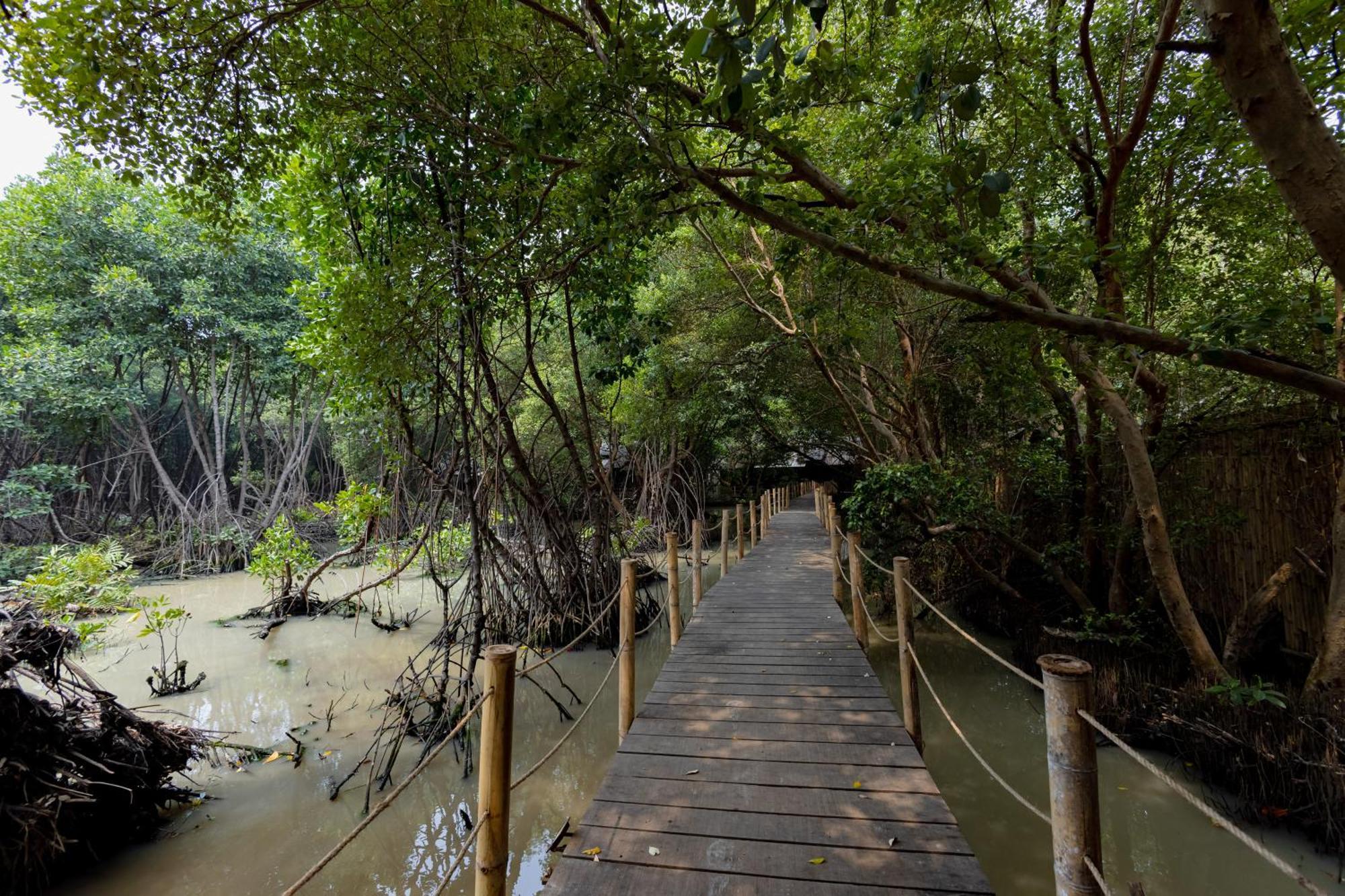 Reddoorz @ Taman Wisata Mangrove Jakarta